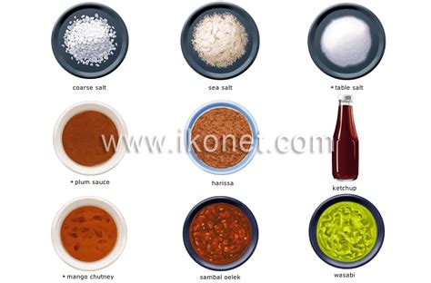 Food And Kitchen Food Condiments Image Visual Dictionary