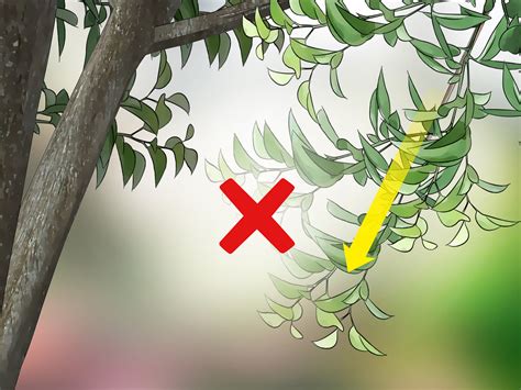 Take care means exercise caution, be careful. How to Take Care of a Tree: 13 Steps (with Pictures) - wikiHow