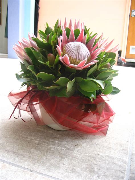 Protea Arrangements | Tropical & Table Flower Arrangements