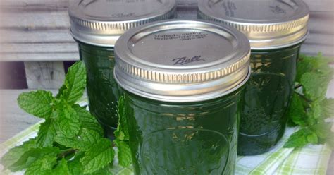 Homemade Mint Jelly From The Garden Recipe Mint Jelly Apple Mint