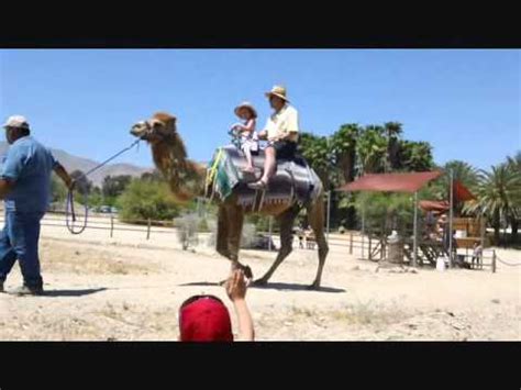 Maybe you would like to learn more about one of these? SENIOR SAFARI: PALM SPRINGS: LIVING DESERT, CAMELS ...