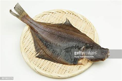 Cooked Flounder Photos And Premium High Res Pictures Getty Images