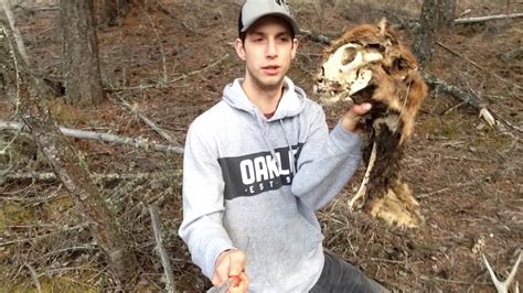 Cougar Found Dead While Shed Hunting Youtube