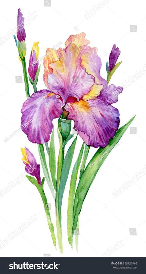 46 Watercolor Flowers Ideas In 2021 Watercolor Flowers Flower