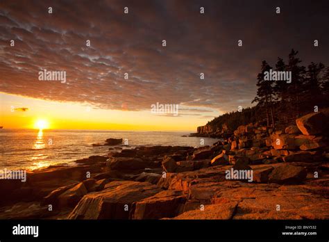 Sunrise At Otter Cliff Acadia National Park Maine Usa Stock Photo