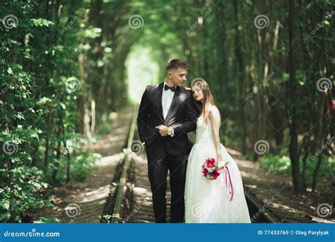 Romantic Newlywed Couple Kissing In Pine Tree Forest Stock Image
