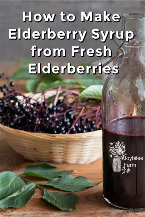 How To Make Elderberry Syrup From Fresh Elderberries The Safe Way
