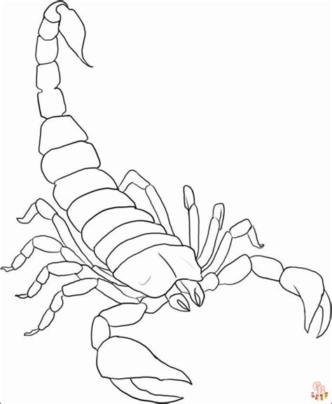 Scorpion Coloring Pages Free Printable Sheets For Kids Gbcoloring