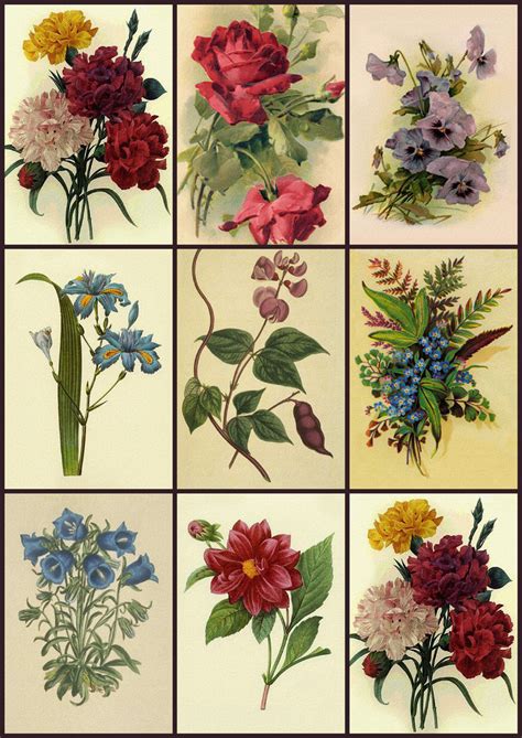 Artbyjean Vintage Clip Art Digital Collage Sheet Flower Prints