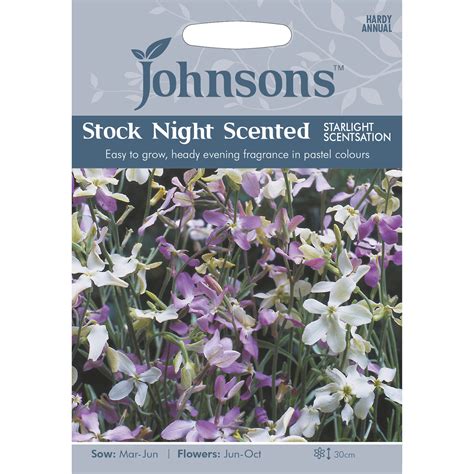 Pack Of Stock Night Scented Flower Seeds
