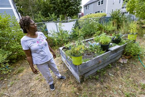 Want To Help The Planet Rethink Your Lawn Wbur News