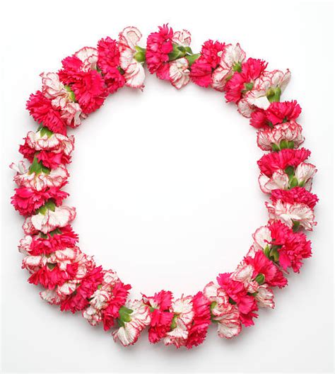 Best Hawaiian Lei Stock Photos Pictures And Royalty Free Images Istock
