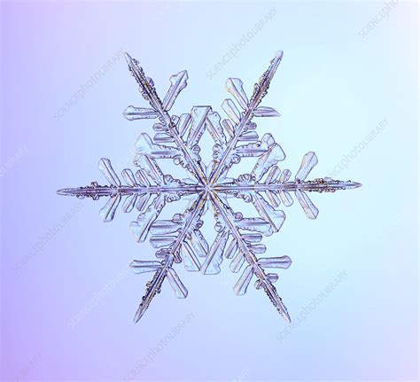 Snowflake Stock Image C0118987 Science Photo Library
