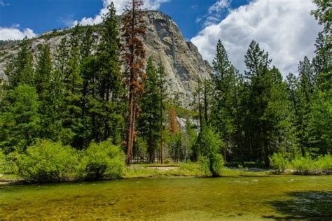 The Nine Incredible National Parks In California Roadtripping California