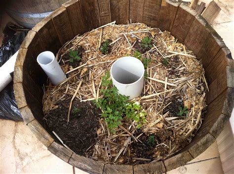 Timbah Rooftop Herb Garden Part 4 How To Make A Wicking Wine Barrel