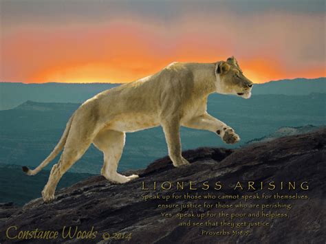 Lioness Arising Prophetic Art Of Constance Woods