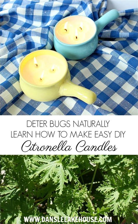Make Your Own Diy Citronella Candles For Summer Get Rid