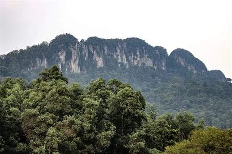 The klang gates quartz ridge is documented as the longest quartz formation in the world, spanning more than 14km long and 200m wide. Selangor forms Geopark Management Body, 20 locations ...