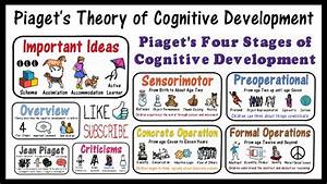 Piaget 39 S Cognitive Development Stages
