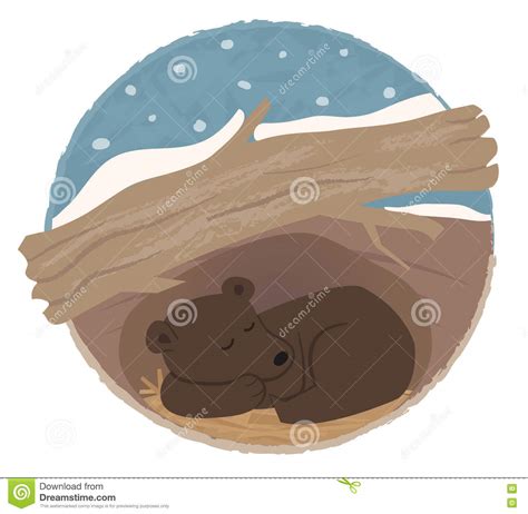 Bear Hibernating Stock Vector Illustration Of Snow Season 75857422