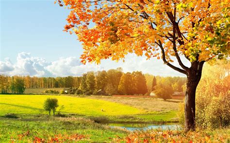 Peisaj De Toamna Vie Desktop Wallpapers Autumn Landscape Fall