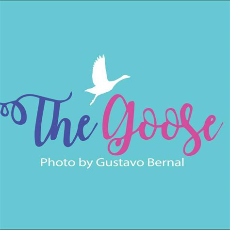 The Goose Photo