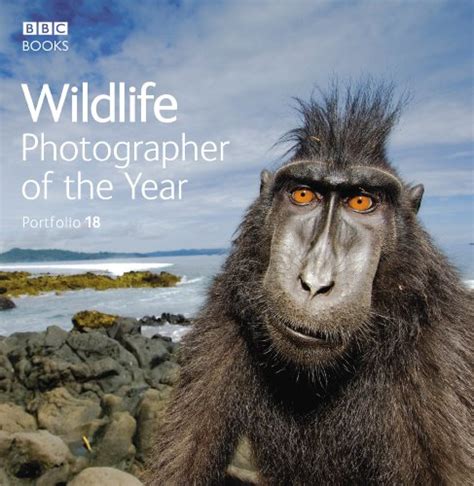Wildlife Photographer Of The Year Portfolio 18 By Shirley Patton