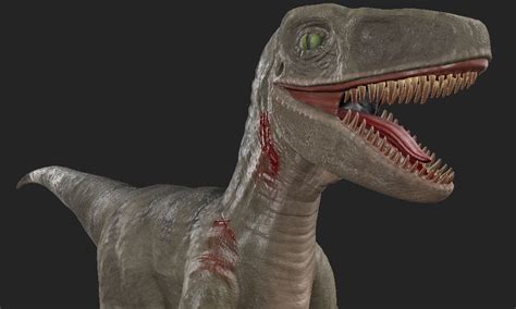 3d Model Velociraptor 3d Game Ready Model Vr Ar Low Poly Rigged Max Ztl