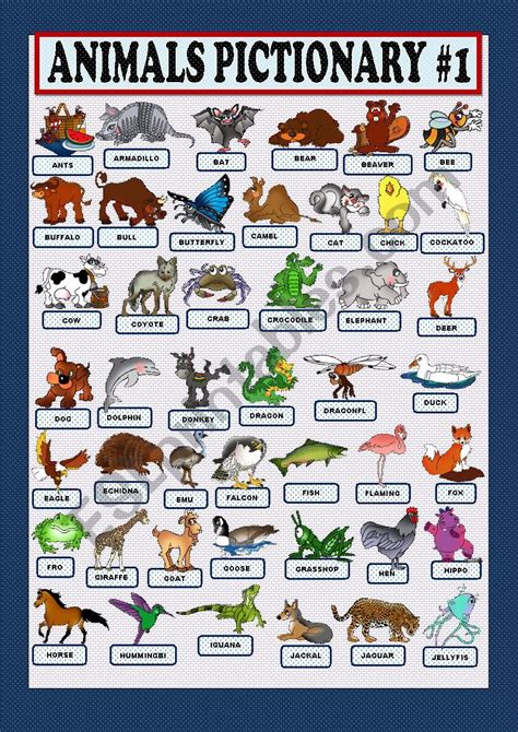 Animals Pictionary Worksheet Pictionary Animals Vocabulary Worksheets