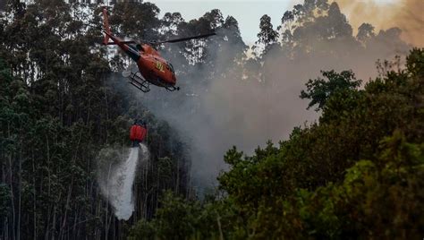 Noah centineo revela o que pegou do set do filme e para todos os garotos 3: El incendio del Algarve luso avanza descontrolado por ...