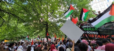 In Photos Pro Palestine Protests Sweep The Globe Egyptian Streets