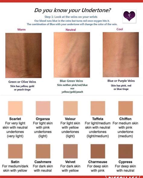 Pin By Madison Aguilar On Personal Colors For Skin Tone Neutral Skin Tone Skin Tone Makeup