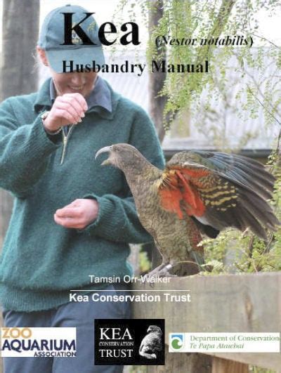 Increased Captive Standards Kea Conservation Trust