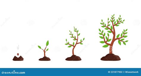Plant Growth From Seed To Tree Sprout Grow In Soil Icon Of Process