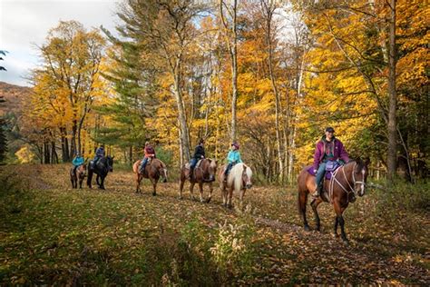Lajoie Stables Guides Horseback Riders Through The Green Mountains