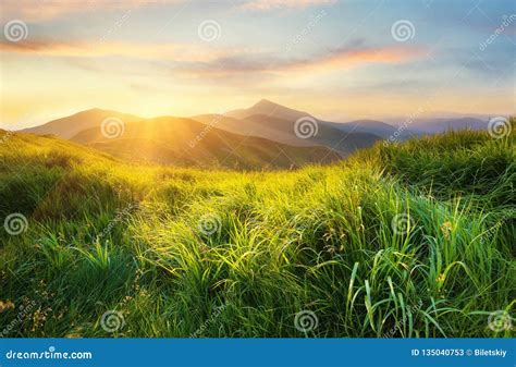 Mountain Valley During Sunset Field With Fresh Grass And The Mountain