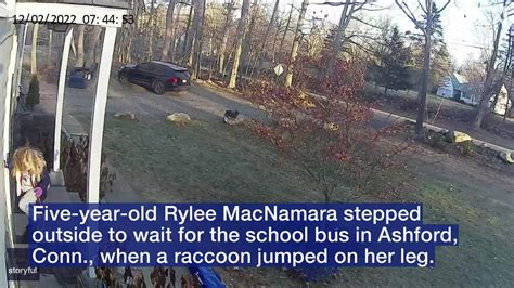 Heroic Mom Saves Young Daughter From Rabid Raccoon Attack