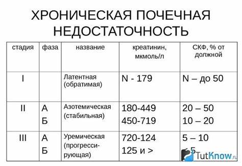 Какая диета при креатинин