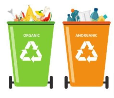 Cara Membedakan Sampah Organik Dan Anorganik