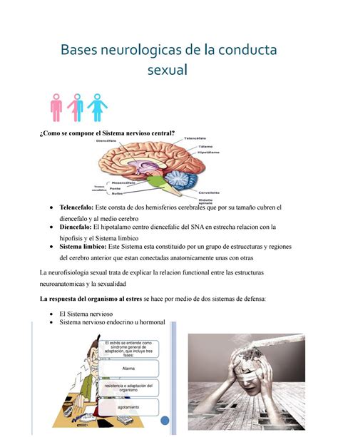 Bases Neurologicas De La Conducta Sexual By Marcela Chavez Issuu