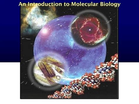 Ppt An Introduction To Molecular Biology Powerpoint