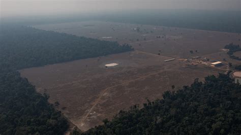 Large Areas Of The Amazon Rainforest Will Never Recover Green Planet