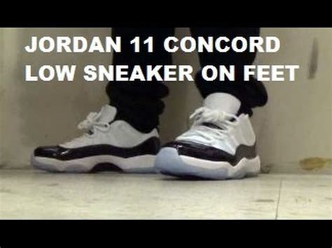 440 results for air jordan 11 low concord. Air Jordan 11 Concord Low Shoe On Feet With @DJDelz DJ ...