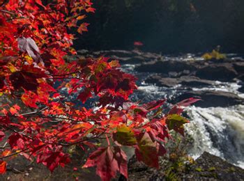 Partez à la rencontre de la nature au parc national du Mont Tremblant