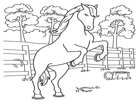 Download Coloring Pages: Horse Coloring Pages Free and Printable