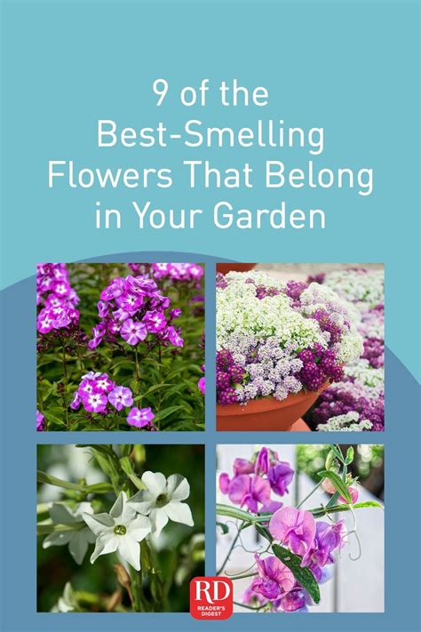 9 Of The Best Smelling Flowers That Belong In Your Garden In 2021