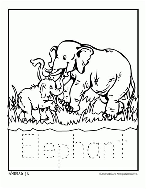 Get This Preschool Printables Of Zoo Coloring Pages Free