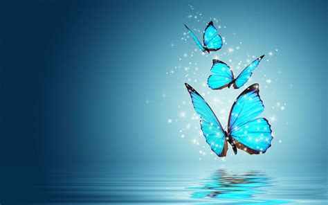 Best Wallpapers Hd Great 3d Butterfly Wallpaper Pictures