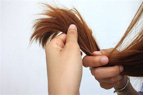 ماساژ سر به رشد مو کمک می کند؟ انواع ماساژ پایگاه خبری جماران
