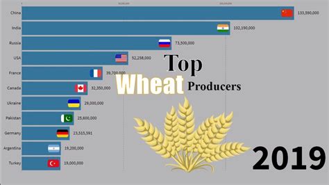 Largest Producer Of Wheat In The World 1961 2019 Wheat World Top